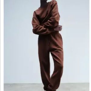 NWT Sz L Zara Brown Fleece Sweatpants Women’s caramel elastic waist joggers